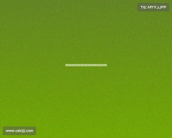 阿斯：勒沃库森在失去阿隆索及多名核心球员后迎来全面重建挑战